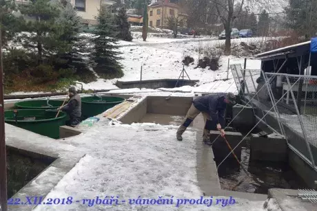 Fotokronika prosinec 2018