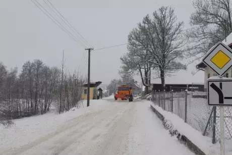 Zima, předjaří 2019