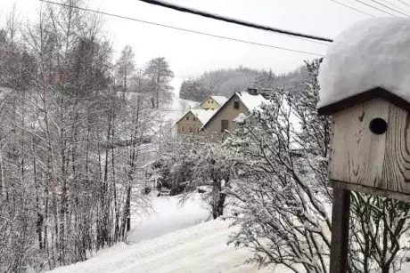 Zima, předjaří 2019