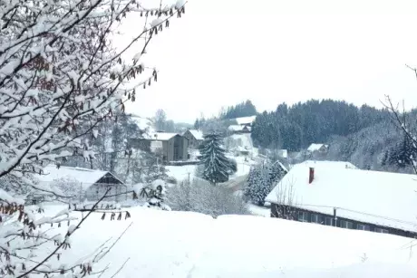 Zima, předjaří 2019