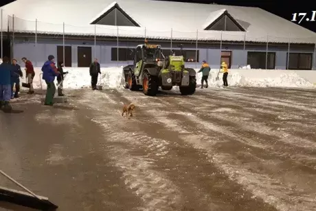 Zima, předjaří 2019