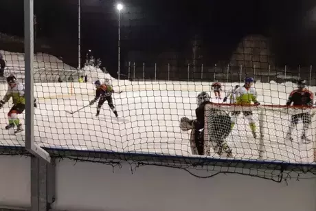 Zima, předjaří 2019