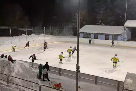 Hokejový zápas 25.1.2019