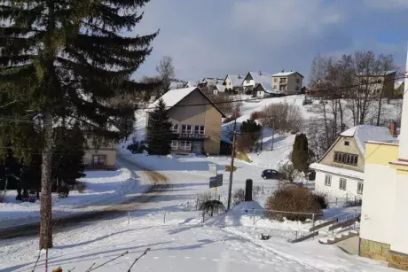 Zima, předjaří 2019