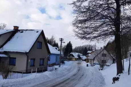 Zima, předjaří 2019