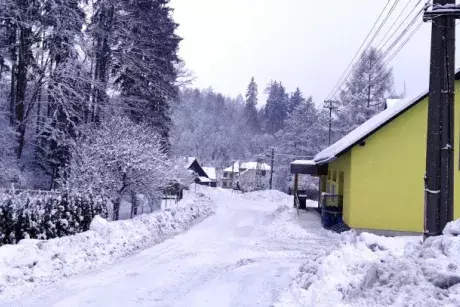 Zima, předjaří 2019