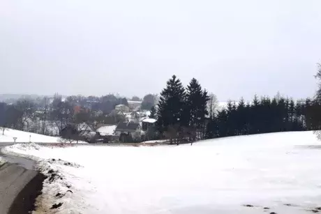 Zima, předjaří 2019