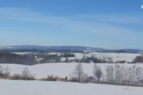 Zima, předjaří 2019