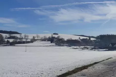 Zima, předjaří 2019