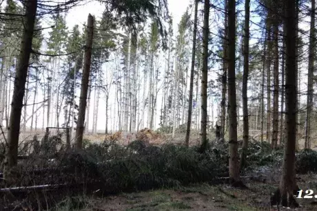 Zima, předjaří 2019