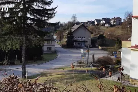 Zima, předjaří 2019