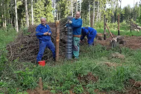Události v květnu 2019