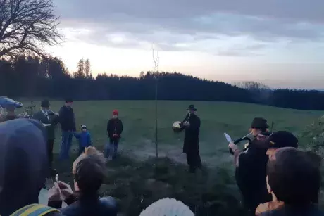 17. listopad 2019 - sázení pamětní lípy