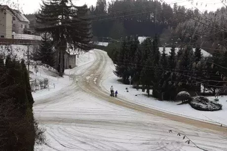 Zima - předjaří 2020