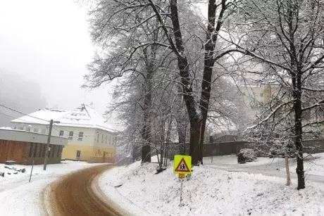 Zima - předjaří 2020