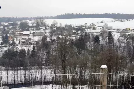 Zima - předjaří 2020