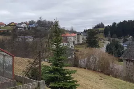 Zima - předjaří 2020