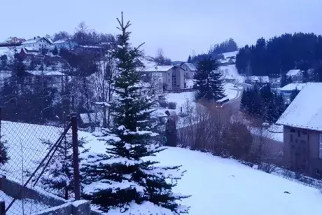 Zima - předjaří 2020