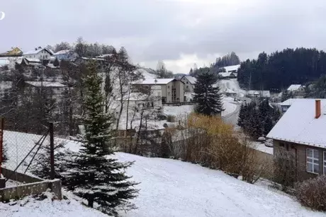 Zima - předjaří 2020