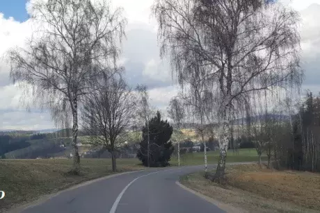 Zima - předjaří 2020