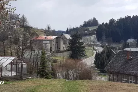 Zima - předjaří 2020