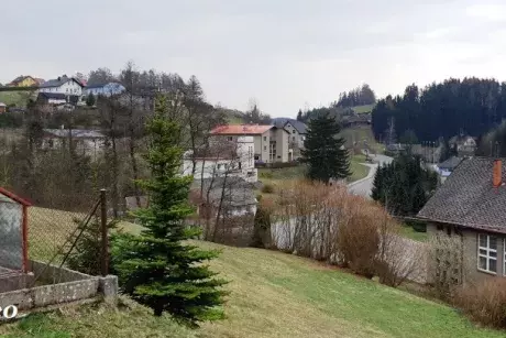 Zima - předjaří 2020