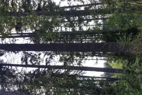 Zásahová jednotka v akci