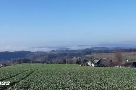 Bílé vánoce, Silvestr, Nový rok?