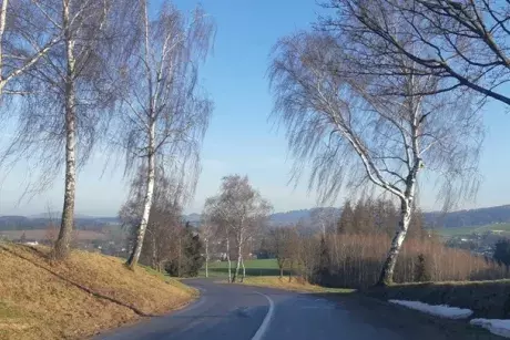 Bílé vánoce, Silvestr, Nový rok?