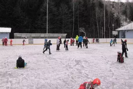 Bruslení ZŠ 20.1.2016