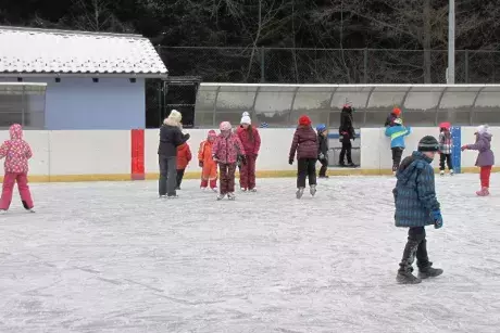 Bruslení ZŠ 20.1.2016
