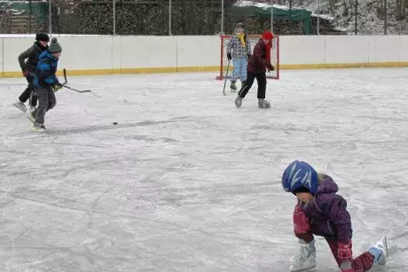 Bruslení ZŠ 20.1.2016