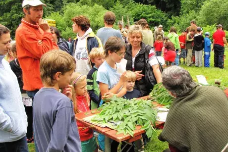 Dětský den 22.6.2014