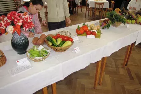 Podzimní výstava 2014