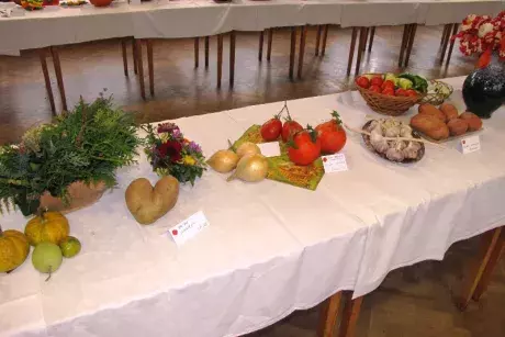 Podzimní výstava 2014