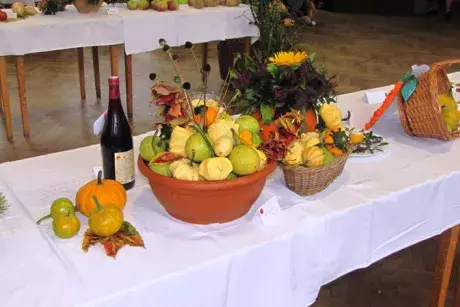 Podzimní výstava 2014