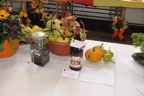 Podzimní výstava 2014