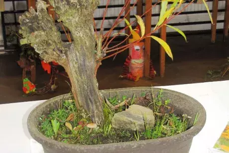 Podzimní výstava 2014