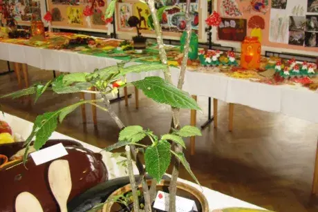 Podzimní výstava 2014