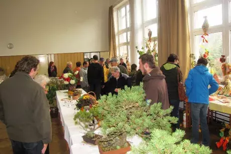 Podzimní výstava 2014