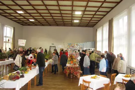 Podzimní výstava 2014