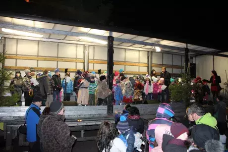 Rozsvěcení vánočního stromu 13.12.2017