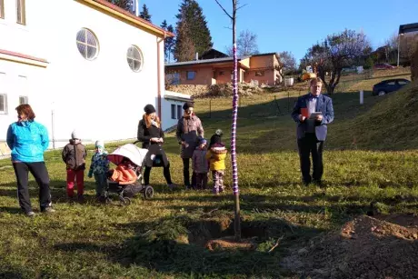 Sázení pamětní lípy 17.11.2018