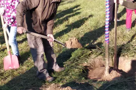 Sázení pamětní lípy 17.11.2018