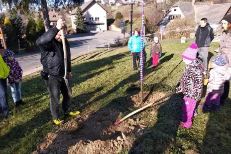 Sázení pamětní lípy 17.11.2018