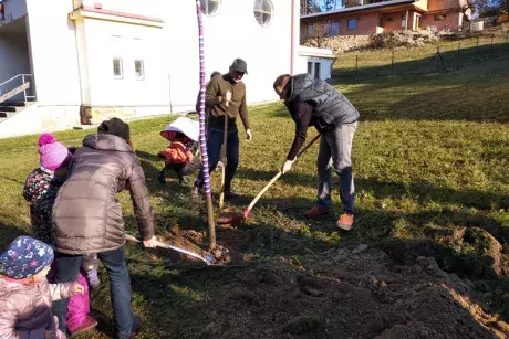 Sázení pamětní lípy 17.11.2018