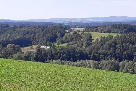 Panoramatické snímky Nekoře 2020